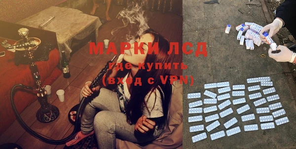 стафф Зерноград