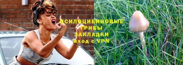 стафф Зерноград