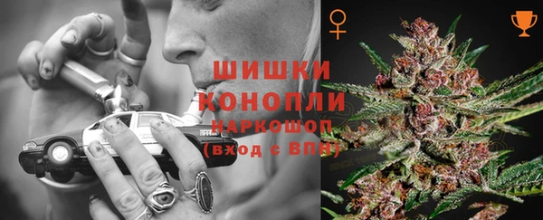 стафф Зерноград
