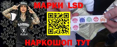 ALPHA PVP Нальчик