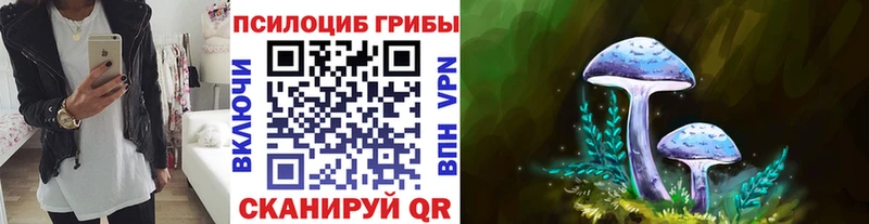 цены   Курск  Псилоцибиновые грибы GOLDEN TEACHER 