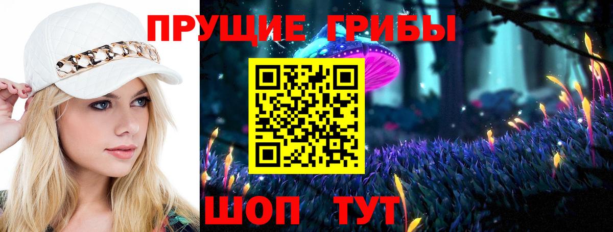 Курск  Псилоцибиновые грибы ЛСД  Вход с VPN  Псилоцибиновые грибы Psilocybine cubensis 
